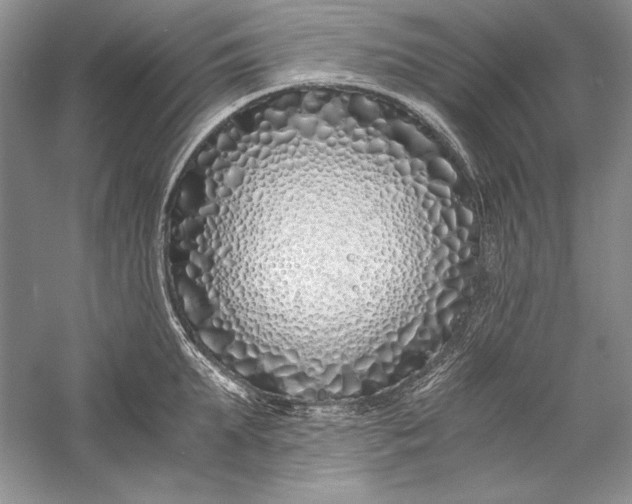X0000056020903200509092136