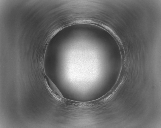X0000056020905200509092136