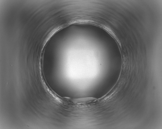 X0000056020906200509092136