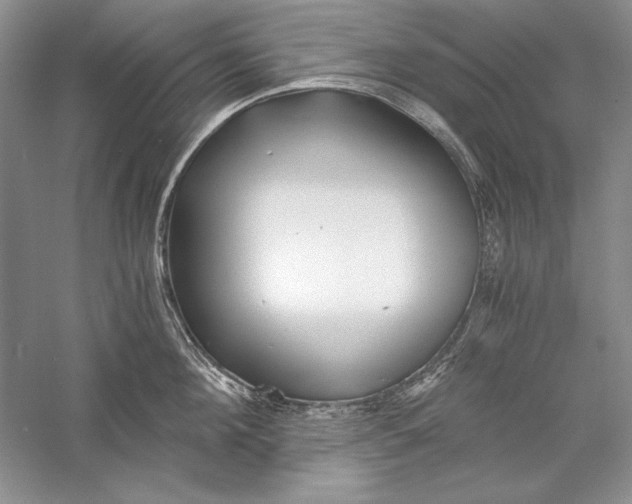 X0000056020908200509092136