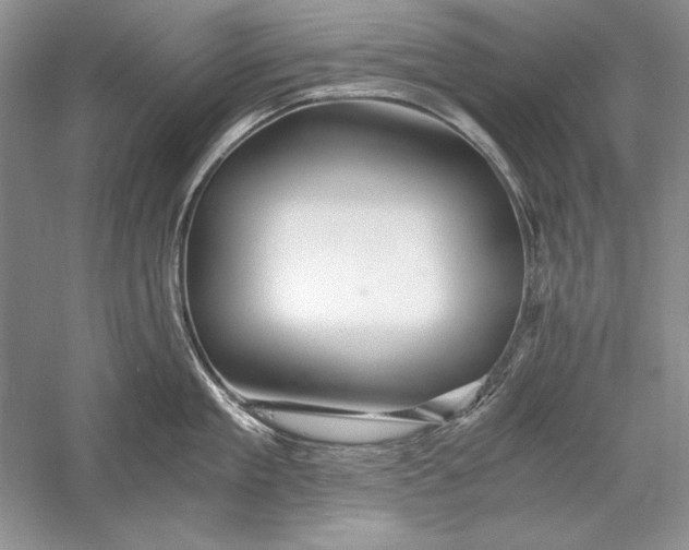 X0000056020909200509092136