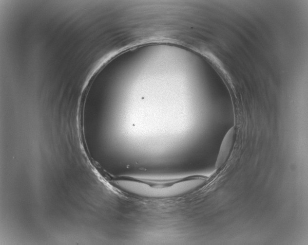 X0000056020910200509092136