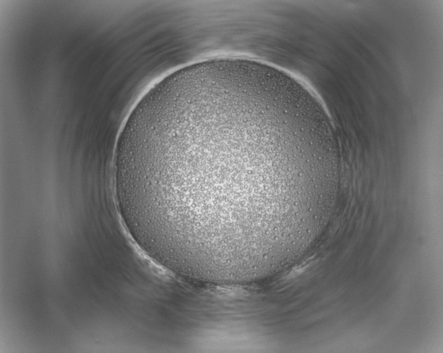 X0000056020911200509092136
