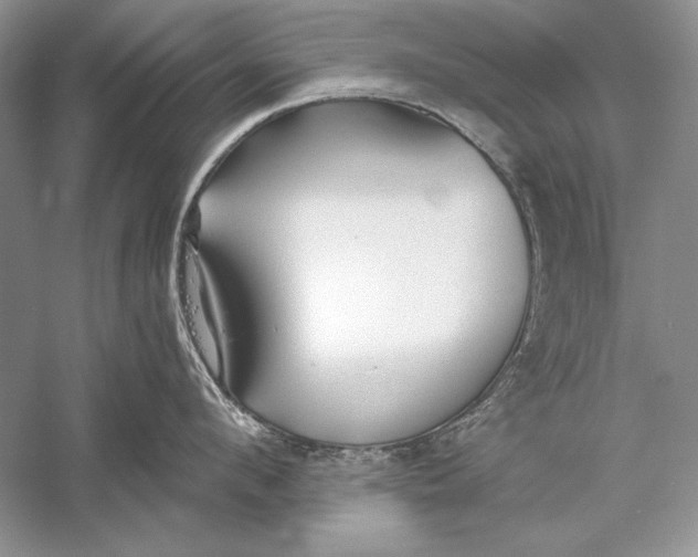 X0000056020912200509092135