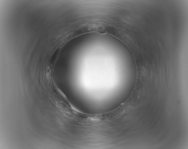 X0000056020914200509092135