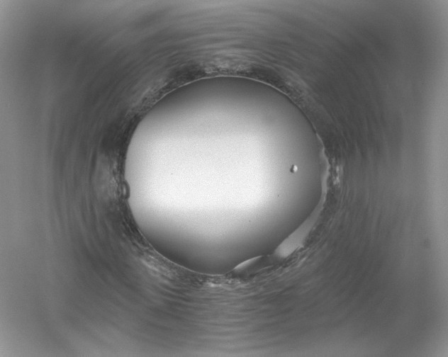 X0000056020915200509092135