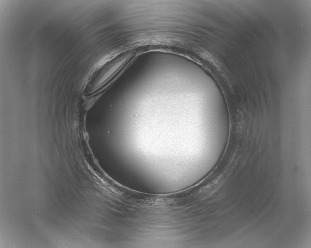 X0000056020922200509092135