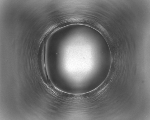 X0000056020930200509092135