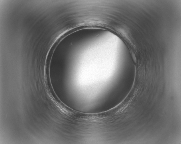 X0000056020932200509092135