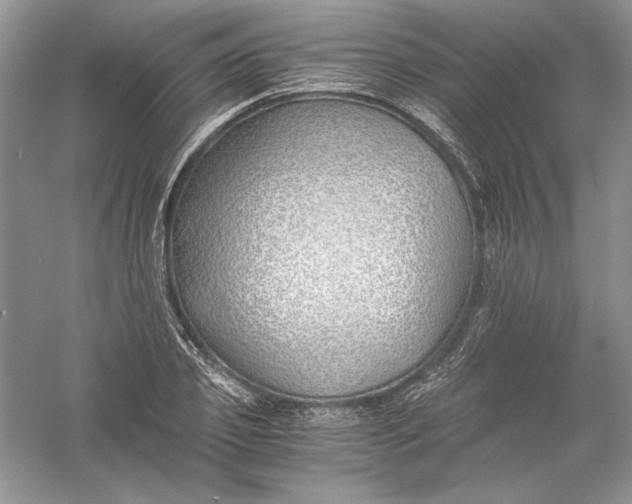 X0000056020933200509092135