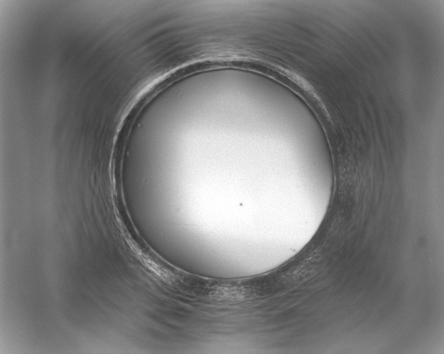 X0000056020935200509092135