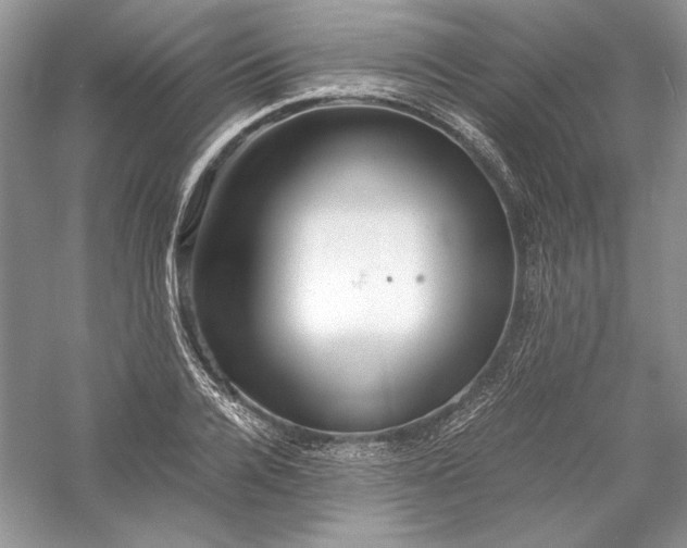 X0000056020936200509092135