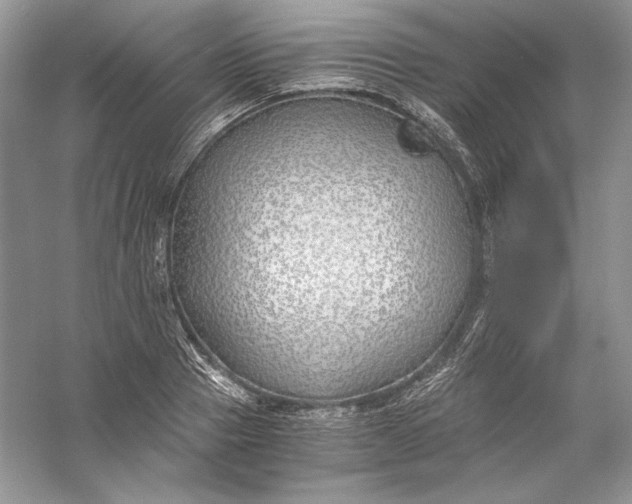 X0000056020937200509092135