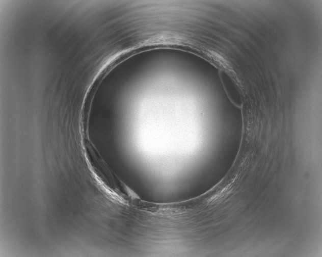 X0000056020942200509092135