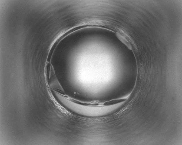 X0000056020944200509092135