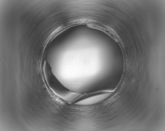 X0000056020946200509092135