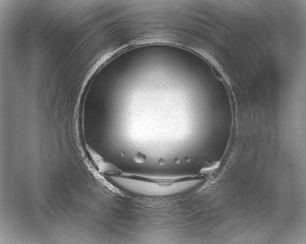 X0000056020949200509092135