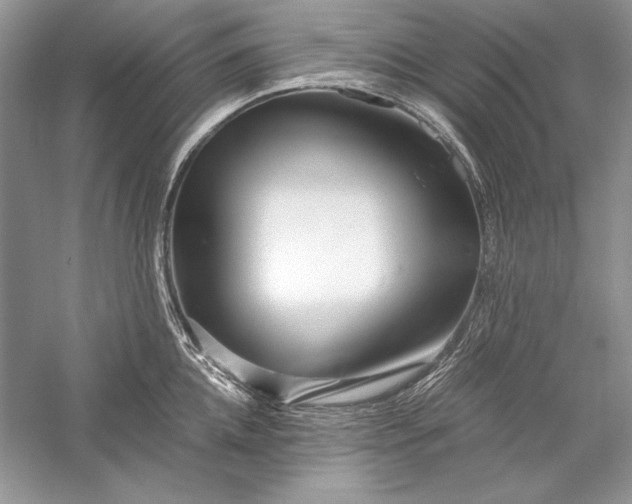 X0000056020952200509092135