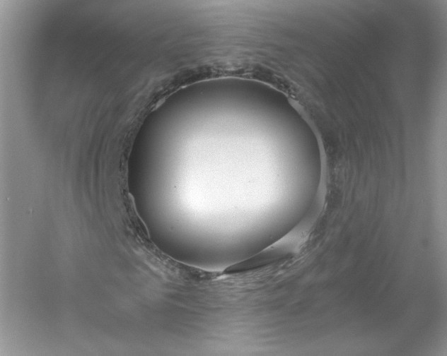 X0000056020961200509092135