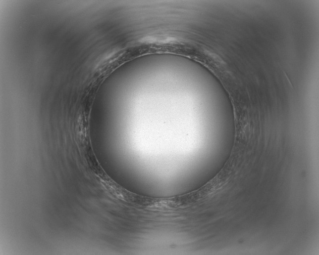 X0000056020966200509092135