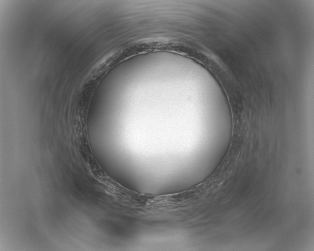 X0000056020967200509092135