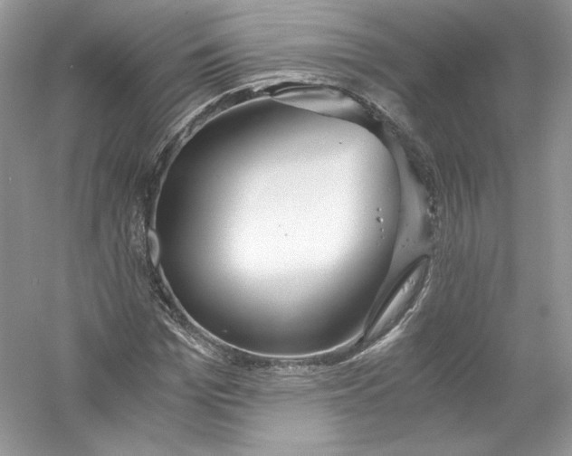 X0000056020969200509092135