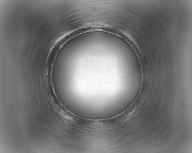 X0000056020971200509092134