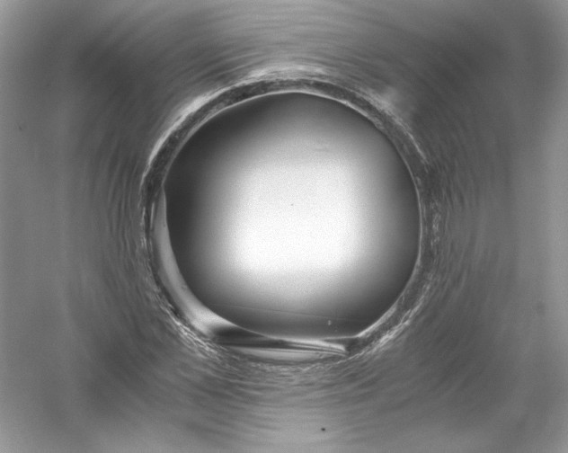 X0000056020973200509092134