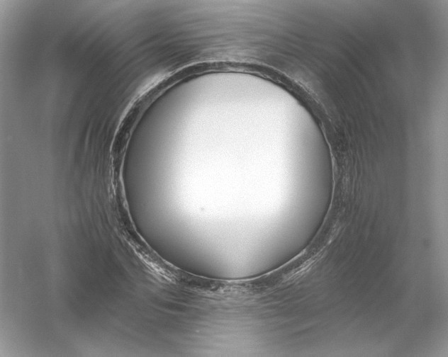 X0000056020974200509092134