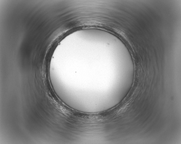X0000056020979200509092134
