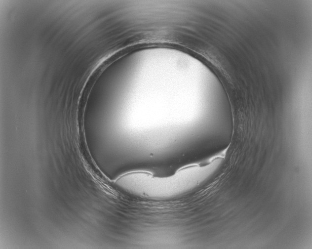 X0000056020980200509092134