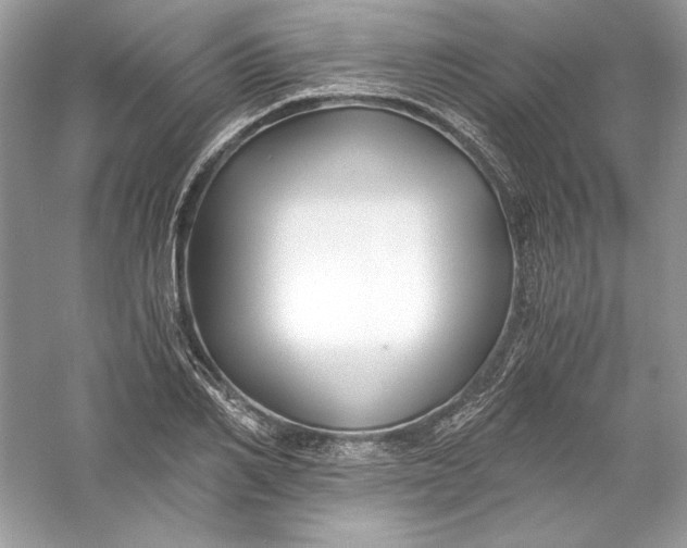 X0000056020982200509092134