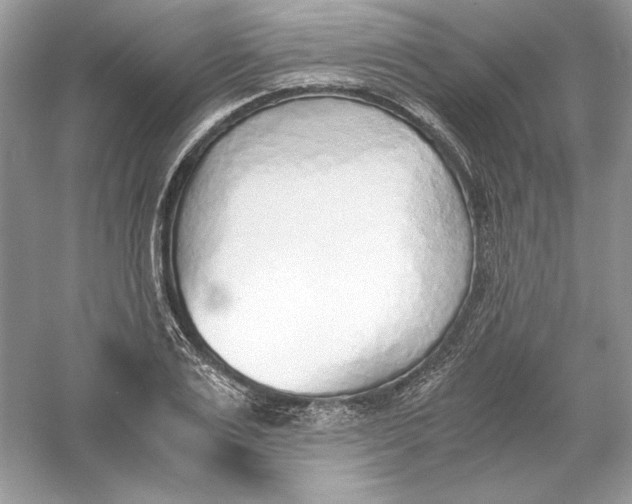 X0000056020983200509092134