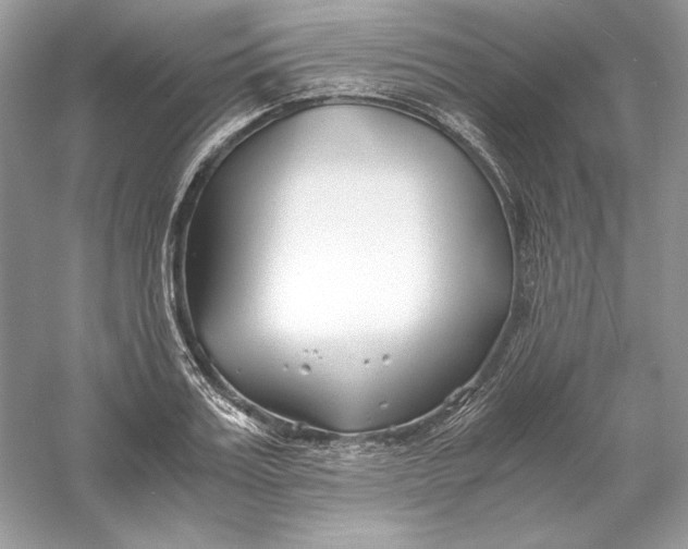 X0000056020987200509092134