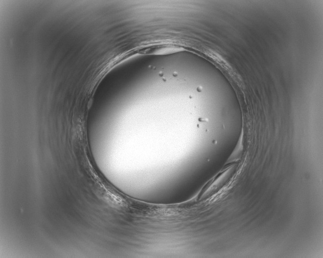 X0000056020993200509092134