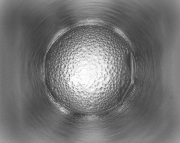 X0000056020994200509092134