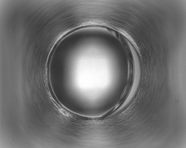 X0000056020996200509092134