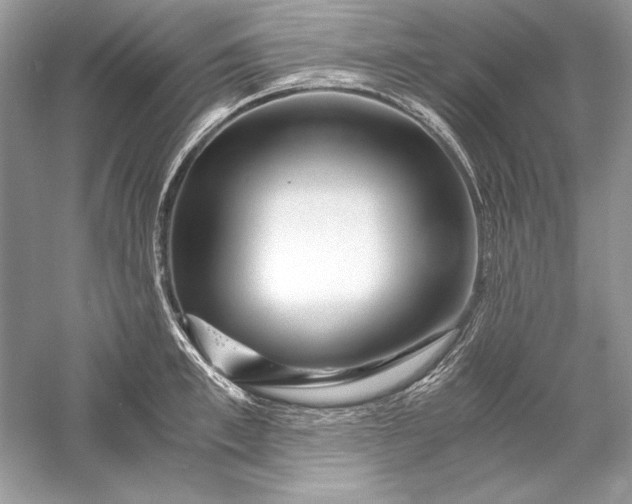 X0000056020997200509092134