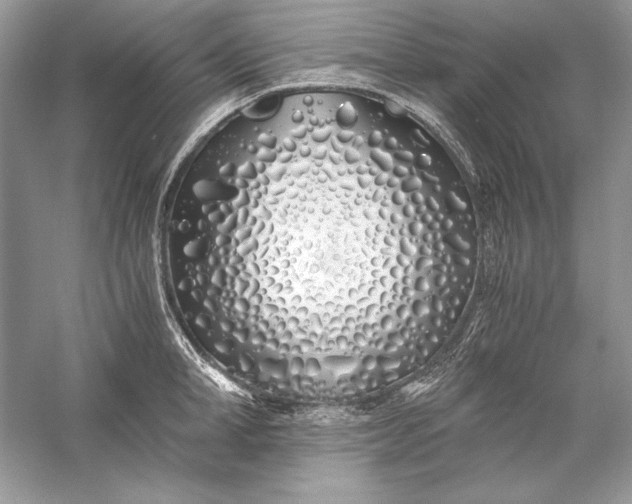 X0000056020998200509092134