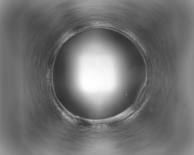 X0000056021001200509092134
