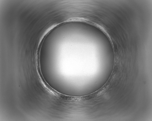 X0000056021003200509092134