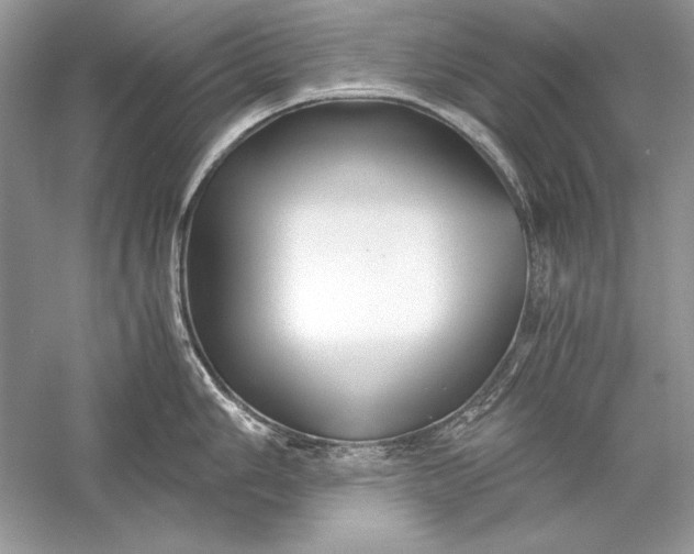 X0000056021006200509092134