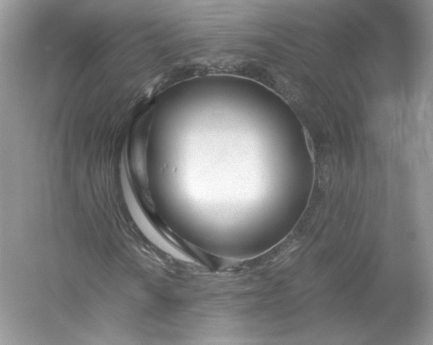 X0000056021010200509092133