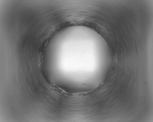 X0000056021012200509092133