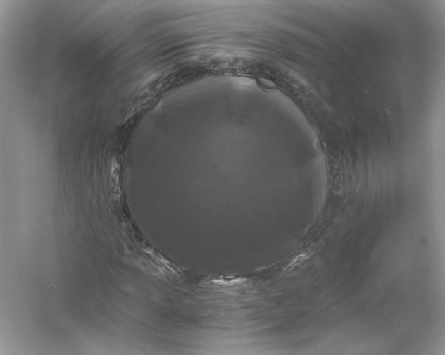 X0000056021013200509092133