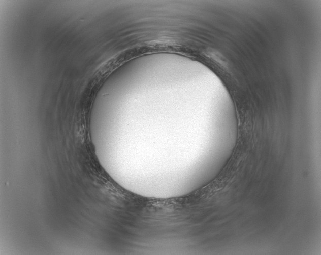 X0000056021015200509092133