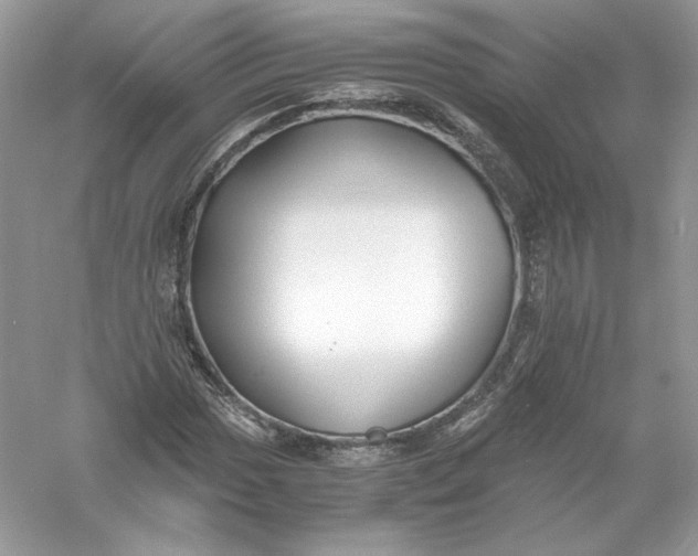 X0000056021017200509092133