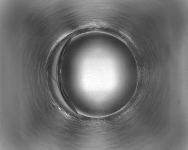 X0000056021018200509092133