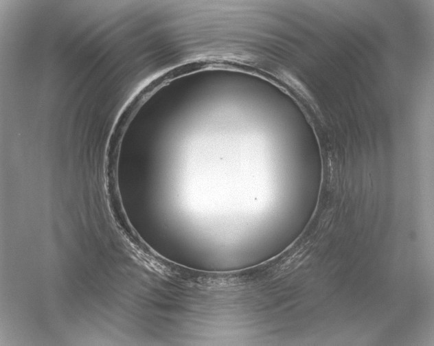 X0000056021020200509092133