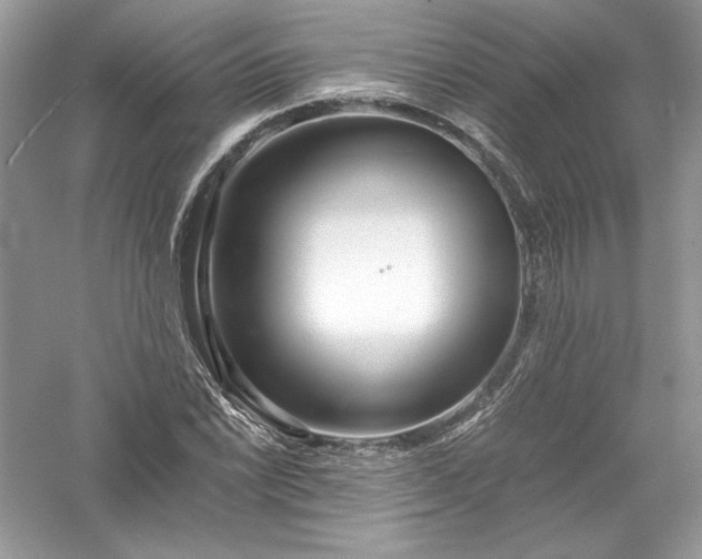 X0000056021022200509092133